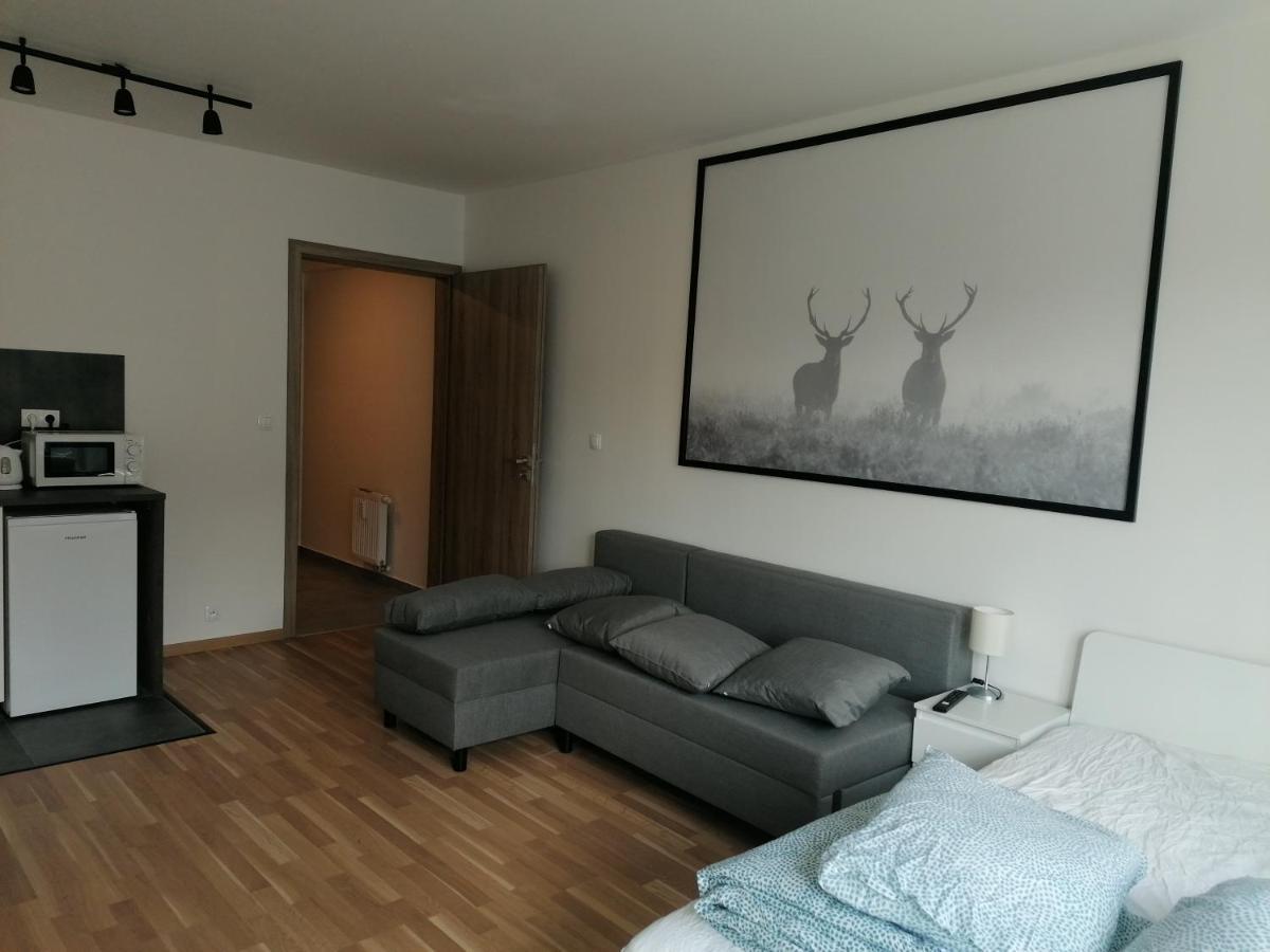 Brand New Studio Apartment #51 With Free Secure Parking In The Center 프라하 외부 사진
